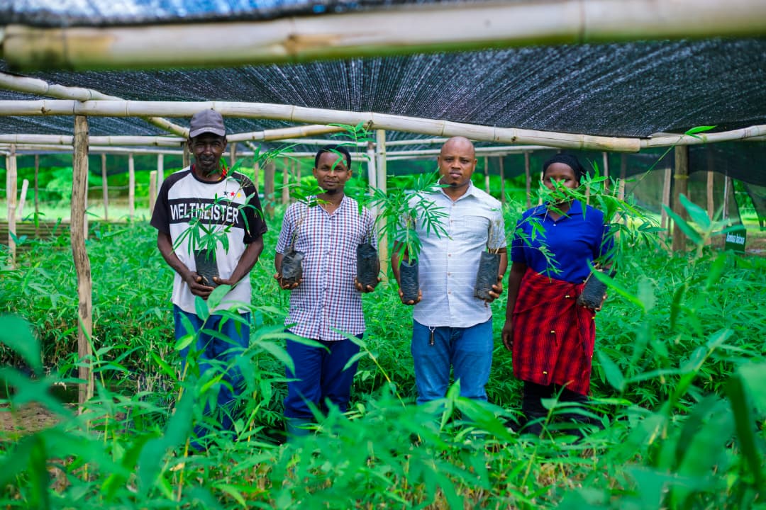 Community Tree Planting